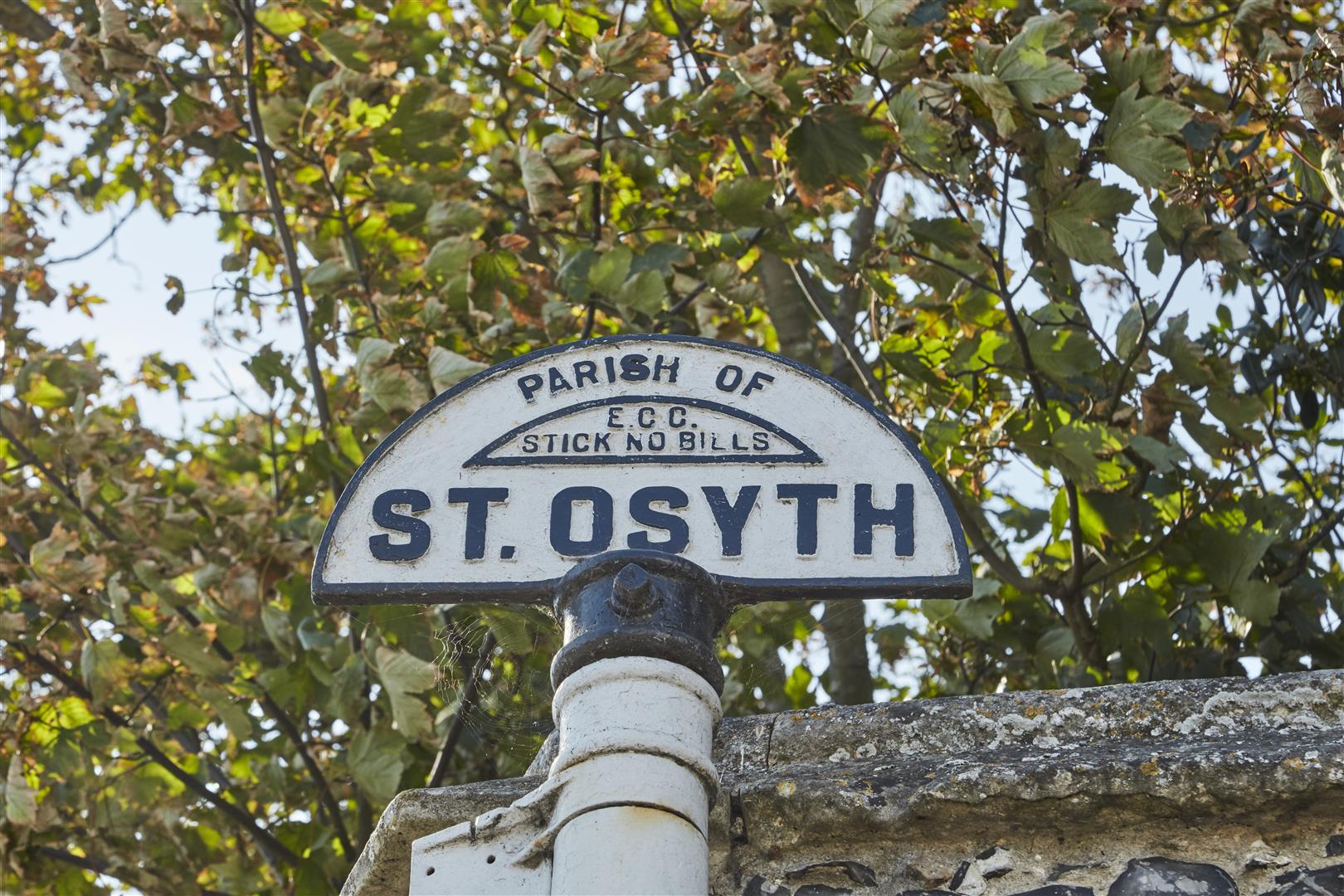 2191461-108.jpg